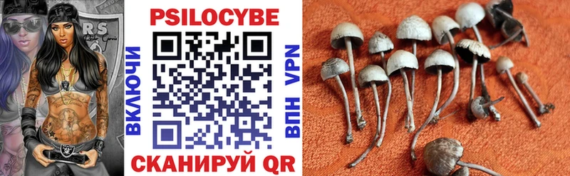 Галлюциногенные грибы ЛСД  Бежецк 